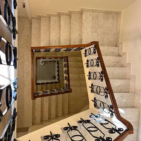 Agapanthus 3* Offida