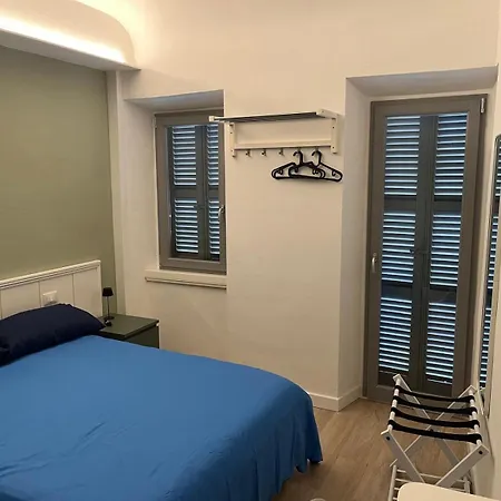 Agapanthus 3* Offida