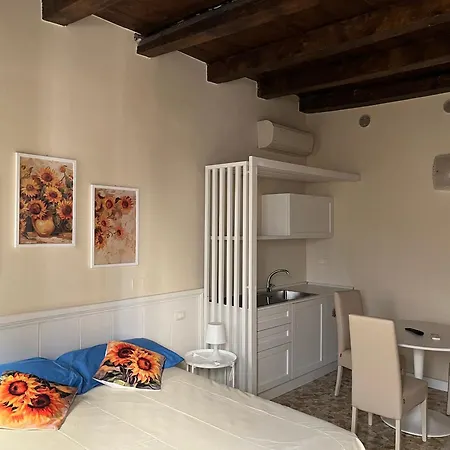 Agapanthus 3* Offida