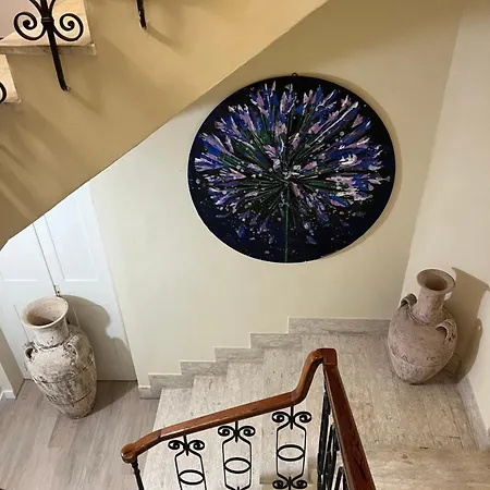 Agapanthus 3*