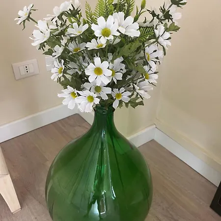 Agapanthus Affittacamere 3*