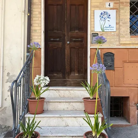 Agapanthus Gæstehus 3*