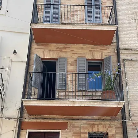 Agapanthus Affittacamere