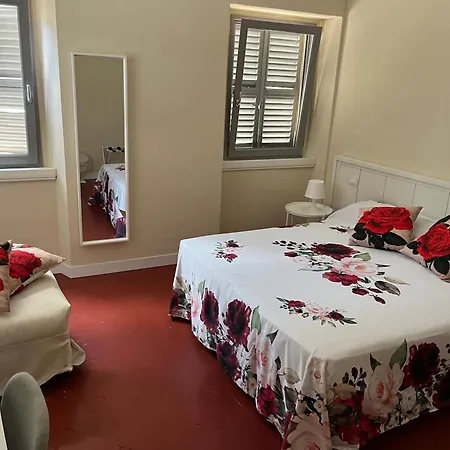 Agapanthus Affittacamere Offida