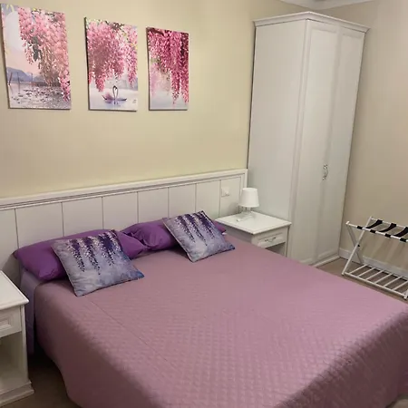 Agapanthus 3* Offida