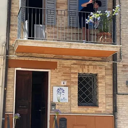 Agapanthus Affittacamere Offida