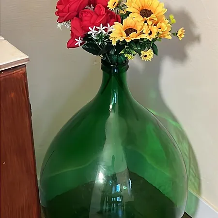 Agapanthus Affittacamere Offida