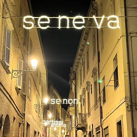 Agapanthus Affittacamere Offida