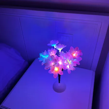 Gasthuis Agapanthus Offida