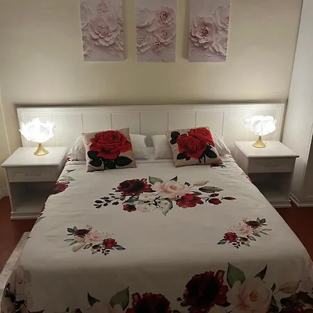 Agapanthus Gasthuis Offida