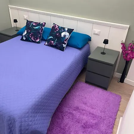 Agapanthus 3* Offida