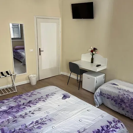 Agapanthus Gasthuis Offida