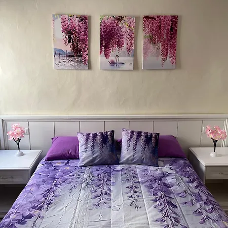 Agapanthus Pensionat