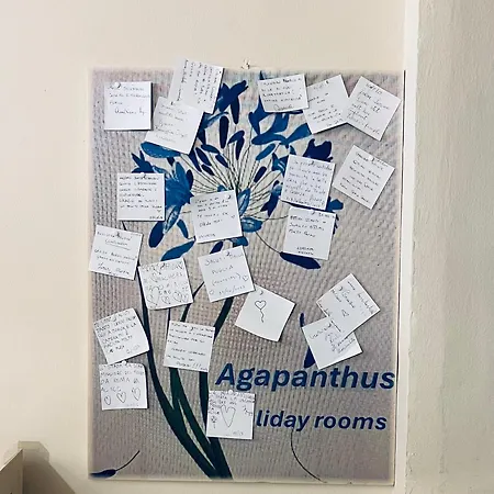 Pensionat Agapanthus Offida